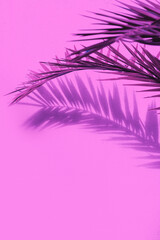 Fototapeta na wymiar Fashion tropical location. Pink Wall and Palm. Shadows. Canary islands. Travel advertising banner wallpaper