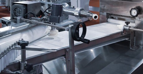 Automatic encrusting and moulding machine for steamed bun. Food industry