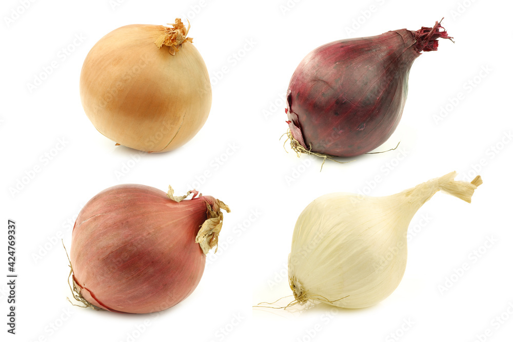 Wall mural various sorts of onions on a white background