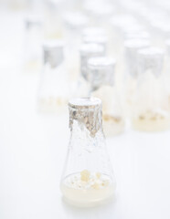 University lab exploring new methods of plant breeding, Alternative green herb medicine, Natural skin care beauty products, Laboratory and development concept.