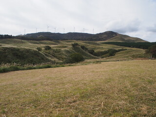 東伊豆　細野高原