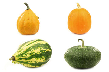 colorful decorative pumpkins on a white background