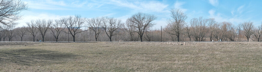 panoramic view of the park in the afternoon