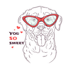 Hand drawn Labrador Retriever dog with glasses Vector. Isolated objects for your design. Each object can be changed and moved.