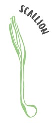 Green onion or scallion hand painted with ink brush isolated on white background