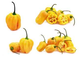 spicy hot peppers(Capsicum chinense ) on a white background