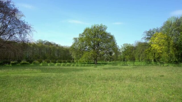 Vier Jahreszeiten Baum im Park - Dynamic Time Lapse 