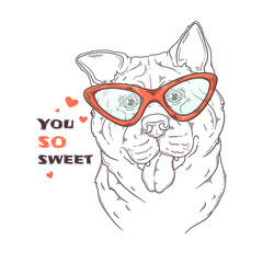 Hand drawn akita bespectacled dog Vector. Isolated objects for your design. Each object can be changed and moved.