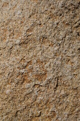 texture of old wood, abstract background