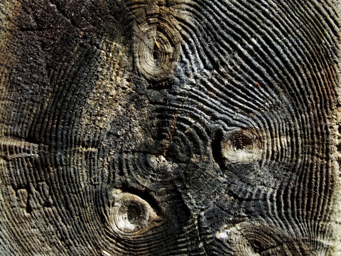 cross-section of a wooden beam covered with salt efflorescence. multi-colored texture of salt efflorescence