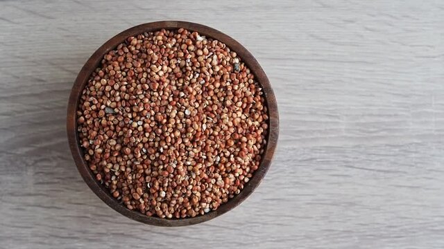 poppy seeds in a bowl sorghum millet milo grain seed 