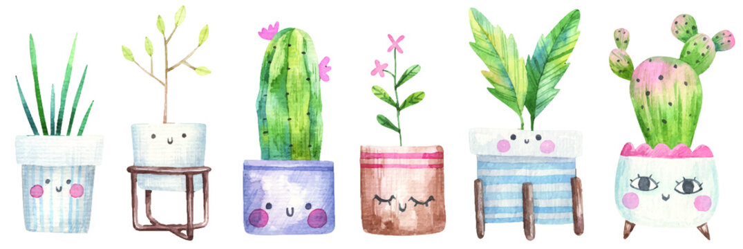 set of home plants, succulents, house tree, cacti in a flowerpot with eyes, cute illustration