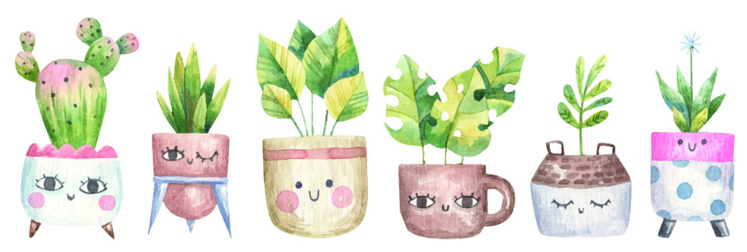 set of home plants, succulents, monstera, cacti in a flowerpot with eyes, cute illustration