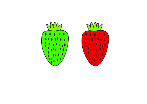 strawberry on a white background