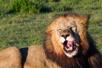 Victim of a challenge match with his son from the previous night.