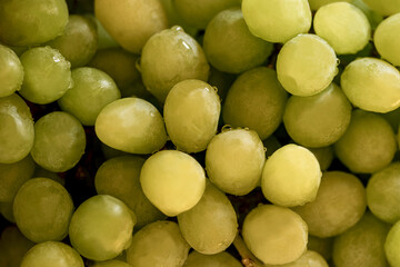 green grapes background, nacka, sverige, stockholm, sweden