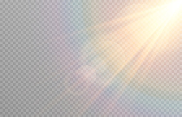 Fototapeta Vector golden light with glare. Sun, sun rays, dawn, glare from the sun png. Gold flare png, glare from flare png.	 obraz