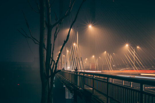 Blade Runner Movie Style-Chinese Bridge Under Haze,long Exposure,A Tree In The Foreground