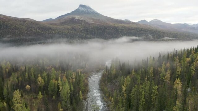 Aerial view over wild river and forest in beautiful scenery. Clip. Foggy day in mountains on an autumn day with mixed forest and bright cloudy sky.