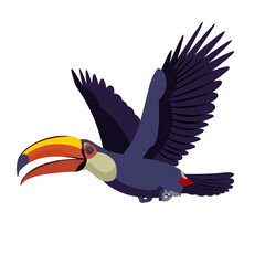 Isolated figure of a tropical bird toucan flying and waving wings © ivnas