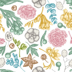 Seamless pattern with hand drawn pastel ficus, eucalyptus, peony, cotton, freesia, brunia
