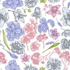 Seamless pattern with hand drawn pastel anemone, lavender, rosemary everlasting, phalaenopsis, lily, iris