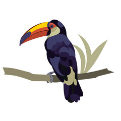 A colorful tropical toucan bird with a large yellow beak sits on a branch in the jungles of South America