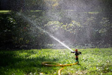 Automatic sprinkler system watering the lawn.Watering in the garden. Watering garden plants.