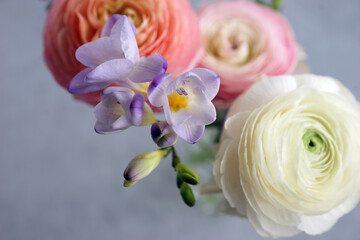 Beautiful bouquet with spring ranunculus and freesias
