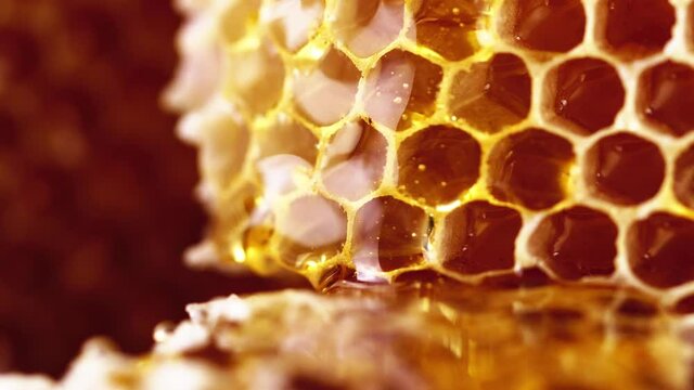 close up of honeycomb with honey.