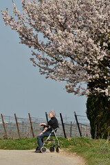 frau mit rollator unterwegs