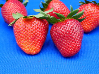 strawberries on a blue background