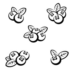 Cranberry set. Collection icon cranberry. Vector
