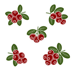Cranberry set. Collection icon cranberry. Vector