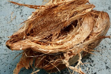 Outer skin of Coconut shell is peeled off in the ground. Coconut shell outer layer skin is removed to getting coconut fruit.