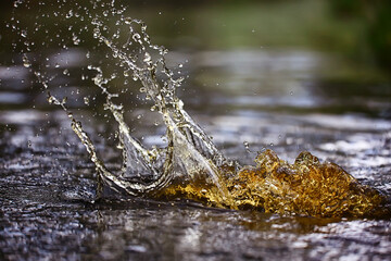 splash on water surface background brown, dark water nature abstract