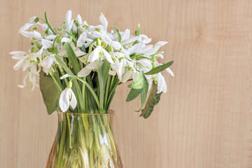 Beautiful bouquet of snowdrops flowers in a small vase.