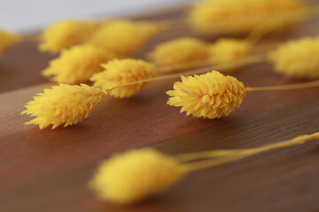 Close Yellow Amaranths flowers on wooden background.