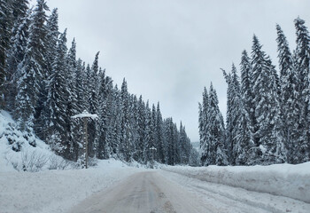 Beautiful natural winter landscape, stunning mountain views.The concept of tourism.Idyllic view of spruces covered in snow.
