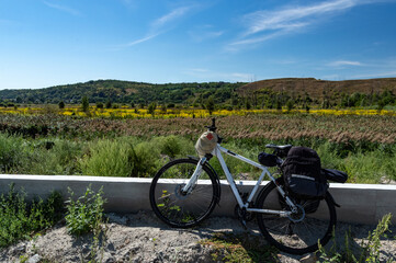 Fototapeta na wymiar Cycling travel. Cycling tourism. Bikepacking. Bicycle with trunks in the background of the landscape.
