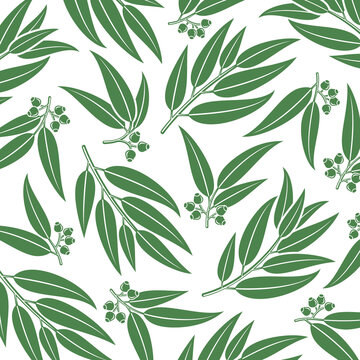Eucalyptus pattern background set. Collection icon eucalyptus. Vector
