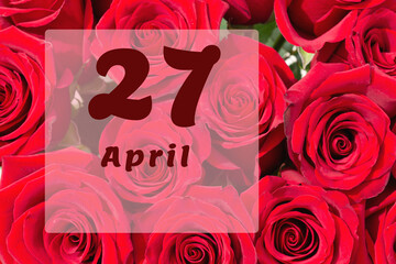 April 27th. Day of 27 month, calendar date. Natural background of red roses. A bouquet of dark red roses