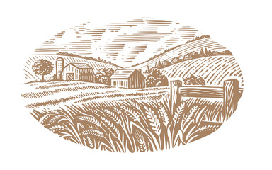 village on Sunny day field of wheat sketch. Farm landscape under cumulus clouds  © bioraven