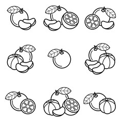Mandarin set. Collection icons mandarin. Vector