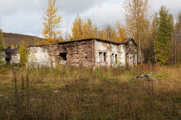 abandoned building overgrown with plants