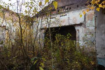 Fototapeta na wymiar abandoned building overgrown with plants