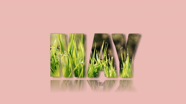 The inscription MAY of plant elements on a colorful background. Graphic concept for the names of spring months. Animation. Grass in a flowerpot.