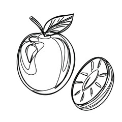 Fruits, exotic fruits, vegetarian - minimal thin line web icon set. Included the simple vector icons as mango, durian, rambutan, guava, tamarind, jackfruit. Outline icons collection.