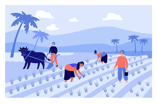 Cartoon people working on Indian farm flat vector illustration. Indian male and female farmers in paddy field tilling the ground surrounded by palms of village. India, farm, agriculture concept