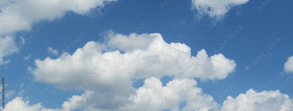 Wall mural panoramic view of beautiful fluffy clouds in blue sky, natural background